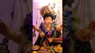 Apane Papa Ganpati aalana🥰🥰🥰🫠😉 marathi kids cute music [upl. by Ynnahc906]