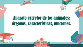 Aparato Excretor de los Animales [upl. by Eudoca]