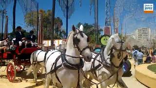 Domingo de Feria en Jerez [upl. by Sabu481]