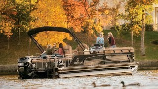 REGENCY 250 LE3 Sport Pontoon Boat [upl. by Hwang]