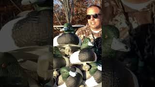 New Bluebill Duck Decoys thefluffypoodle [upl. by Rosinski692]