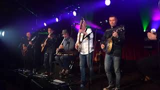 Belfast Mill by Green Road Live at The Spiegeltent Festival wexford 🎵🍀👍 [upl. by Eisned]