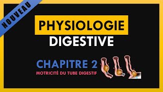 Physiologie Digestive  Chapitre 2  Motricité du tube digestif [upl. by Martie]