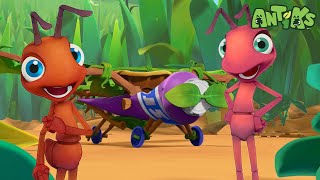 Ants ready to depart 🔴NEW EPISODE🔴 Funny Cartoons  Funny Videos for kids  ANTIKS 🐜🌿 [upl. by Lohcin]