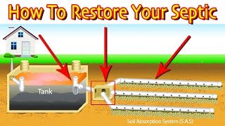 Restoring A Septic Drain Field First Steps Least Vs Most Expensive [upl. by Wolfort171]