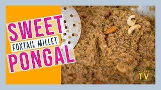 Foxtail Millet Sweet Pongal  Millets TV [upl. by Allana]