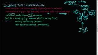 74P  Immediate Type I Hypersensitivity overview  basic description [upl. by Karlee]