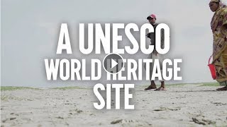 UNESCO Protect the Sundarbans not coal [upl. by Enattirb]