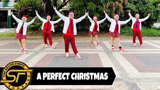 A PERFECT CHRISTMAS  Christmas Special  Christmas Dance  Dance Fitness  Zumba [upl. by Atteynot]