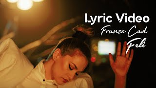 Feli  Frunze cad  Lyric Video [upl. by Valerle]