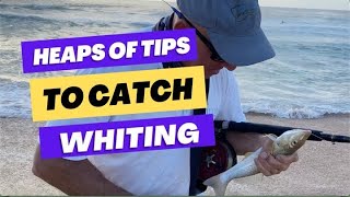 Great TIPS  Beach Whiting Fishing [upl. by Frank]