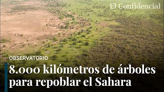 La Gran Muralla Verde del Sahel 8000 kms de árboles para frenar el cambio climático en África [upl. by Eserahc]