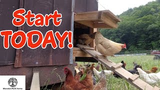 Quick Start Guide  Raising Chickens For Beginners [upl. by Ianteen]