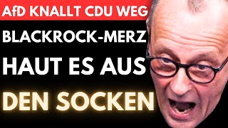 AfD zerreißt SPD und CDU 🚨 BRANDNER verpasst MERZ eine KLATSCHE die ihn nach LUFT SCHNAPPEN lässt [upl. by Trinatte]