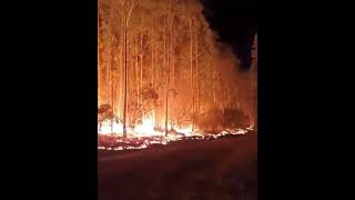 incendios forestales en Corrientes [upl. by Finstad]