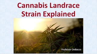 Cannabis Landrace Strain Explained [upl. by Aridatha]