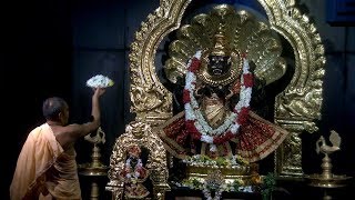 Narasimha Aarti June 08 2019 [upl. by Tatiania]