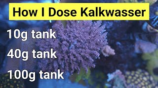 How I Dose Kalkwasser On All My Tanks 100g 40g amp 10g [upl. by Leeanne]