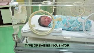 baby incubator  incubator machine  baby incubator working principle  baby incubator uses [upl. by Nasah]