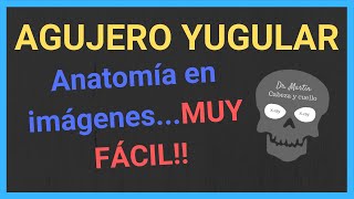 AGUJERO 🕳 YUGULAR TAC y RM anatomía [upl. by Anderea698]