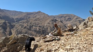 Iran nomadic life Jahangirs journey to the new pastures of the mountains to graze sheep [upl. by Daphne330]