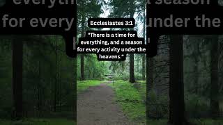 “Ecclesiastes 31 – A Time for Everything” [upl. by Pfosi]