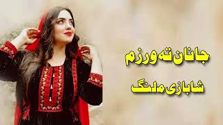 New Pashto Song  MAli Shoqi Chaman Wala  Muhammad Ali Shoqi  New 2024 Pashto Song [upl. by Viola971]