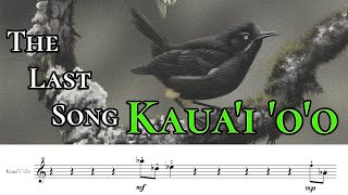 Kauai oo  The Last Song Transcribed amp Performed [upl. by Aman]