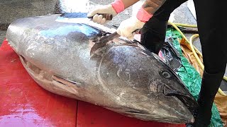 200 kg Giant Bluefin Tuna cutting for SashimiTaiwanese street food [upl. by Mckay134]