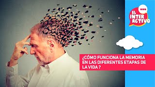 Cómo mejorar la memoria a largo plazo estrategias prácticas [upl. by Auliffe]