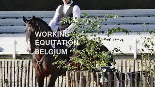 Working Equitation Belgium [upl. by Gent]