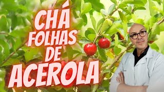 FOLHAS DE ACEROLA Pra que serve o chá Aposto que você não sabia [upl. by Dominy887]