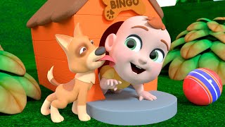 Bingo Song Newborn Version  Lalafun Nursery Rhymes amp Kids Songs [upl. by Etteniotnna876]