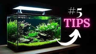 TOP 5 tips for setting up a low maintance planted aquarium [upl. by Derreg332]