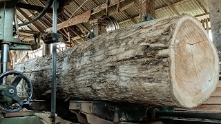 No surprises but beautiful wood  very rare large teak sawmill [upl. by Wein]