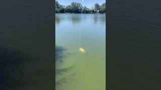 carparts ppcarp carp fishing carps carpfishinglife ppcarp carpfishing angler [upl. by Ettore538]