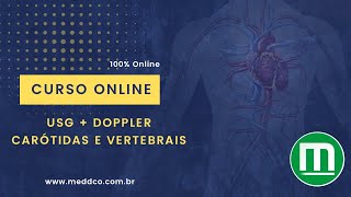 Curso Ultrassom USG  Doppler Carótidas e Vertebrais [upl. by Joellyn]