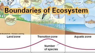 Boundaries of ecosystem  ecological boundaries of ecosystem  learn botany with sara Ismail [upl. by Ilona]