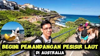 Pesisir Laut Di Australia 🇦🇺 [upl. by Dinny585]