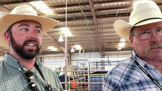 2021 Junior Livestock Show [upl. by Chelsey]