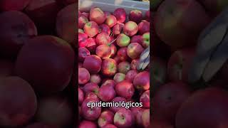 ¿Cómo la manzana PREVIENE enfermedades del corazón parati alimentossanos manzana dieta [upl. by Medovich]