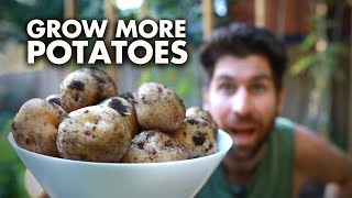 How to Grow Potatoes StepbyStep Video Guide [upl. by Legnalos]