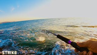 Lucana komodo rod  Reel experience  Catching trevally on jigs and zman shads Shore jigging [upl. by Annawak9]