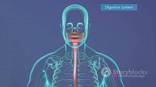 Anatomy amp Physiology Course [upl. by Natehc216]