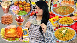 Rs 500 Street Food Challenge  Udaipur Food Challenge [upl. by Dich]