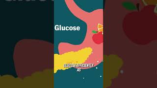 Understanding Insulin Resistance [upl. by Dworman]