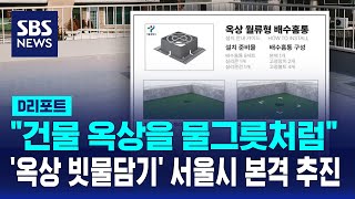 서울시 건물 옥상 빗물담기 사업 나선다  SBS  D리포트 [upl. by Nuahsyd]