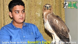 Learn how to train Bonellis Eagle from Little Masters  Eagle Training Tips [upl. by Alexandra840]