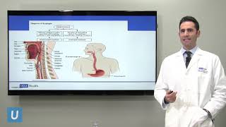 Evaluation and Treatment of Dysphagia Craig Gluckman MD  UCLAMDChat [upl. by Suneya950]