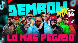 DEMBOW MIX VOL 14 🎵 LOS DEMBOW QUE MAS SUENAN EN TIKTOK Y LA CALLE 2O23 🎤 MEZCLADO POR DJ ADONI [upl. by Cassidy]